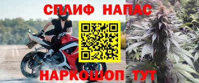 гидра Славгород