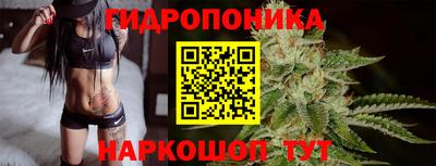 гидра Славгород
