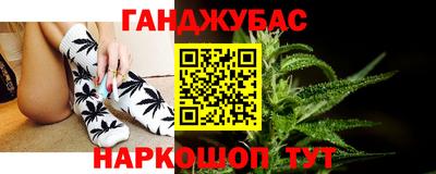 гидра Славгород