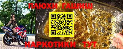 гидра Славгород