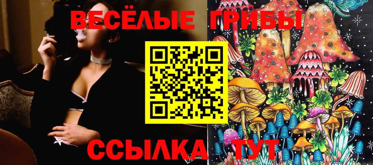 Галлюциногенные грибы ЛСД  Вход с VPN  Азнакаево  где купить наркотик  Галлюциногенные грибы мухоморы 